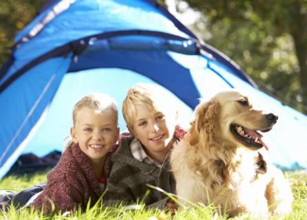 מלון Camping De Baignes מראה חיצוני תמונה